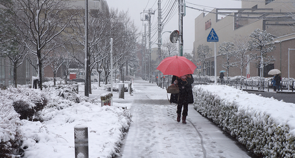 雪災とは?火災保険で補償される事例や保険金請求方法を解説