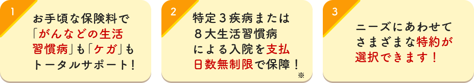 1 病気やケガによる入院・手術などを一生涯保障！ 2 保険料は一生涯あがりません！ 3 ニーズにあわせてさまざまな特約が選択できます！