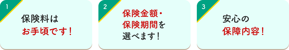 1 保険料はお手頃です！ 2 保険金額・保険期間を選べます！ 3 安心の 保障内容！