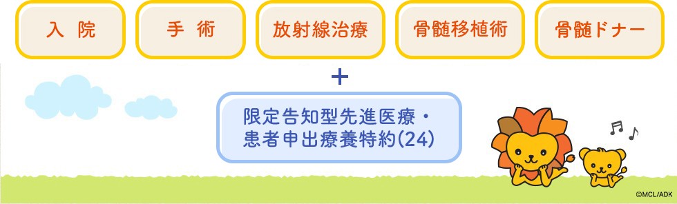 入院 手術 放射線治療 骨髄移植術 + 先進医療特約