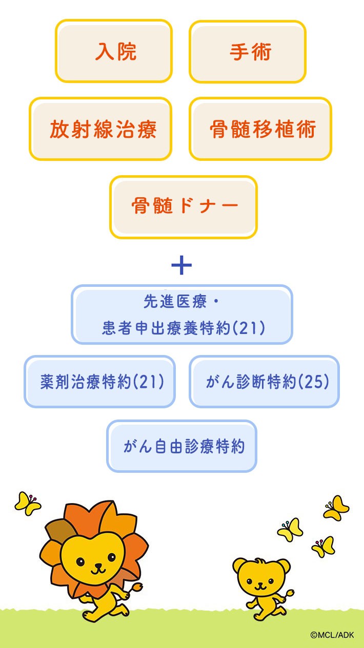 入院 手術 放射線治療 骨髄移植術 + 先進医療特約