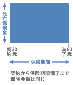 定期保険