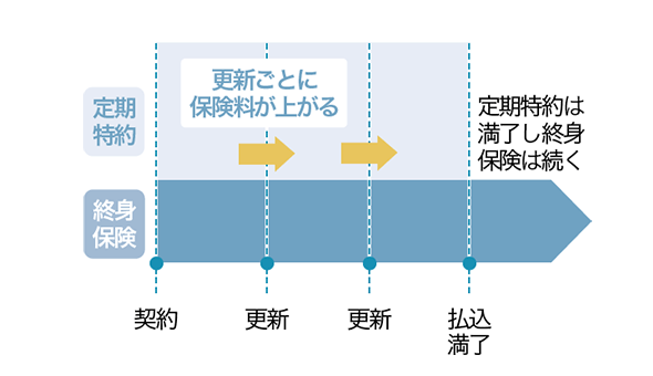 定期保険特約付終身保険