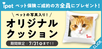 ペットの写真入り「オリジナルクッション」
