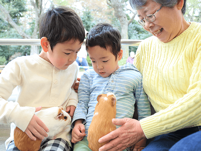 モルモットの飼育にかかる費用