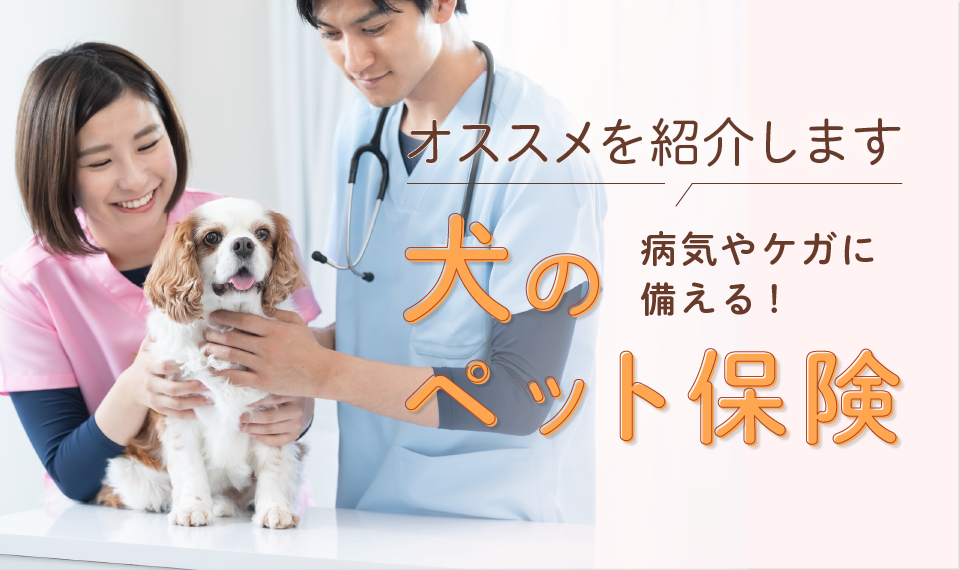 【犬のペット保険】オススメを紹介します！