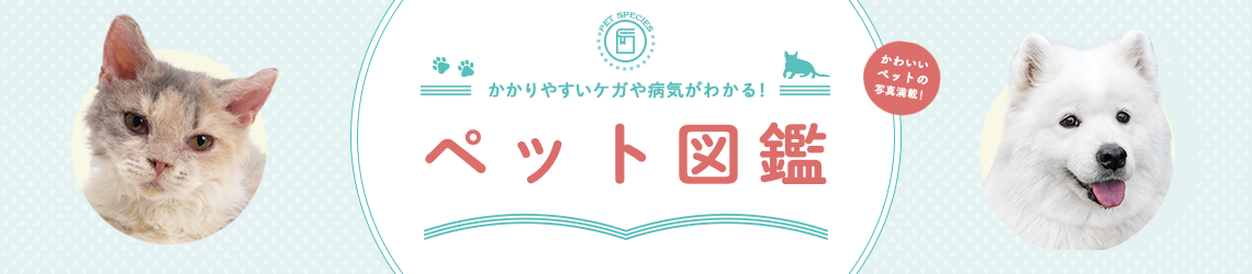 かかりやすいケガや病気がわかる！ ペット図鑑