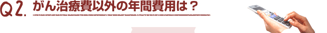 Q2.がん治療費以外の年間費用は？