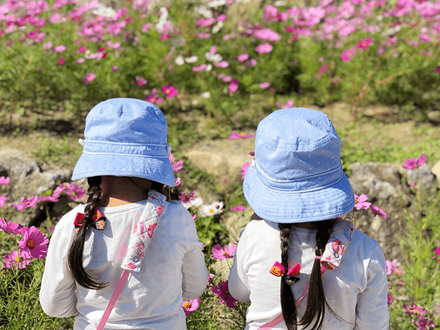 幼稚園の無償化に伴う支払方法は?