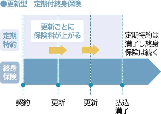 定期付終身保険ってどんな保険？