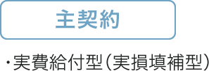 タイプ4:実費給付型