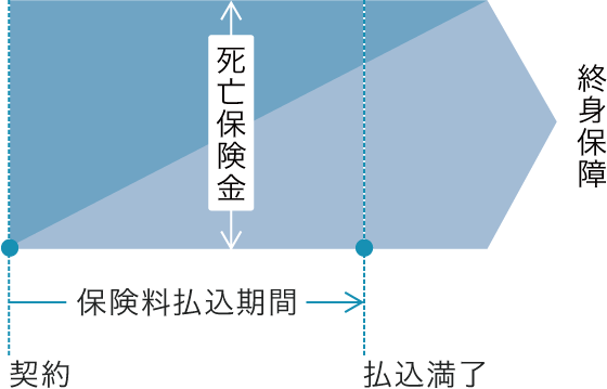 図1 終身保険(有期払)のイメージ