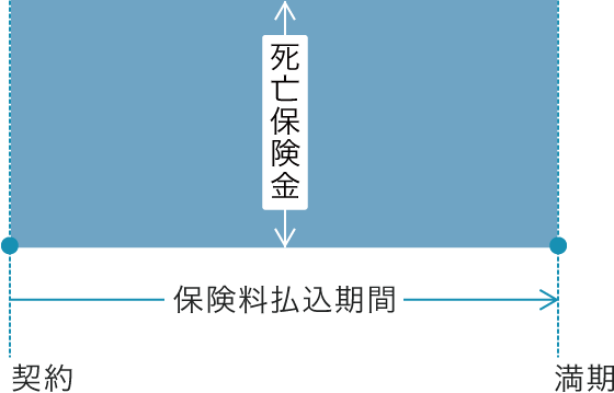 図２　定期保険の例（定額タイプ）