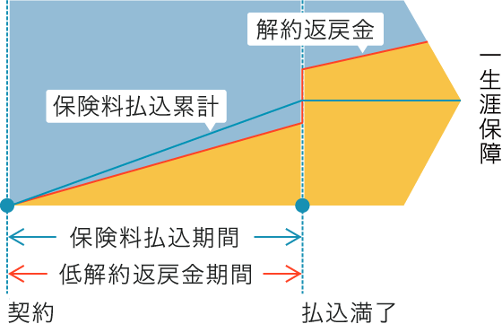 低解約返戻金型終身保険