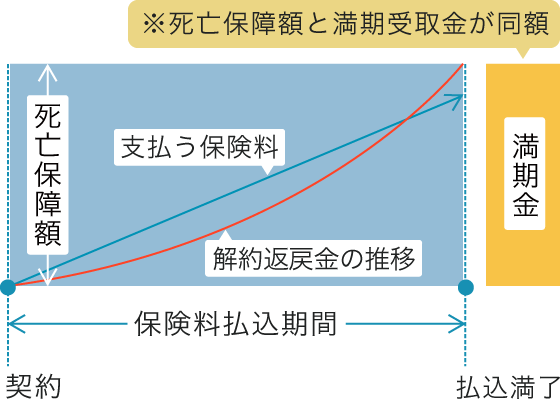 養老保険