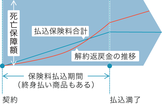 終身保険