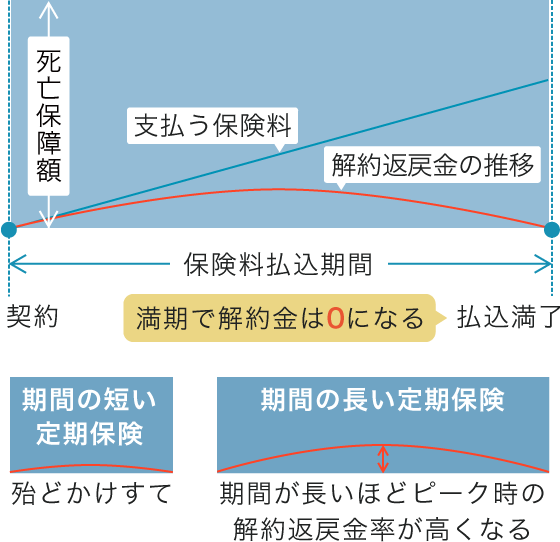 定期保険