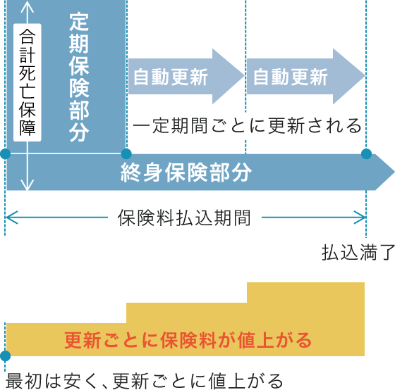 定期付終身保険